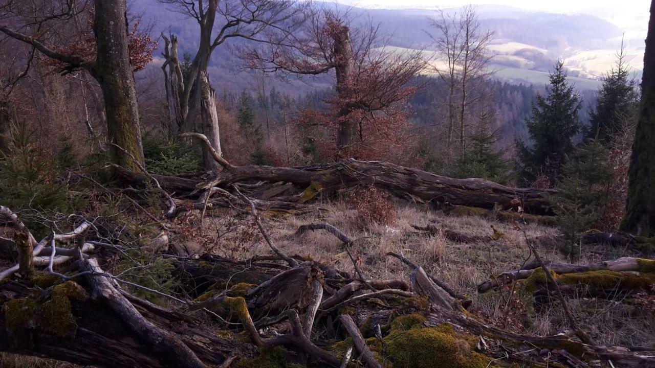 Ferienwohnungen Finke Frankenau Exterior foto